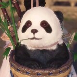 zhuzique