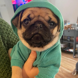 Pet Hub