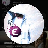 Elsen Pro