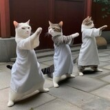 dunkengdeyu