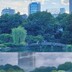 chenhonghong-