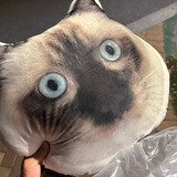 woxunyangleyiduohua_