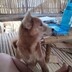 Jestoni Amador_2933