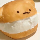 mogulihaoduoyu