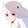-zhubian-