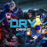 DryGaming