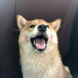 muxun