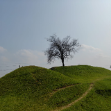 Tareq Shuvo 46