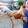 ZACHzionGamefowl