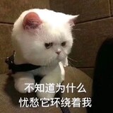 ther_c