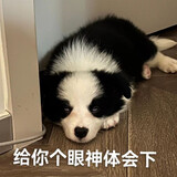 lengkongqi_xcy