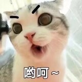 Qianqianqianshidemoshengren