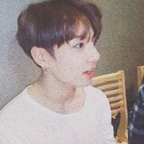 nimaquandouyongguole