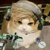 waixingxiao___dawang