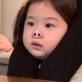 kaixinshengjianbaozi