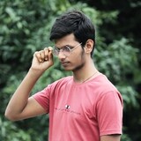 Mridul Tripathi