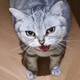 creator avatar