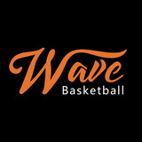 lanqiuwaveball