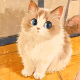 woshiyikuaikourouer