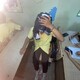 creator avatar