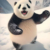 dongdongdongmu