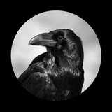 hulianwangliulangjia