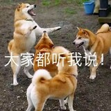 wumuyeのfengshen