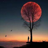 Bữa trưa vui vẻ