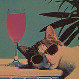 huidiaojiudeyangyuba