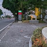 Arip Arifin_0752