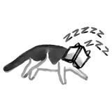mulindadm_02_01