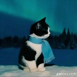 Kinaya_1590