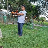 pjrmbackyard