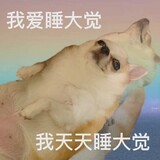 duolegenxiguan