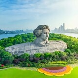 qingfengzhiwuyi