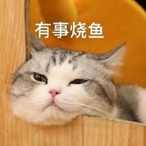 wangyoucaoshanhu