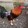 Dambackyard