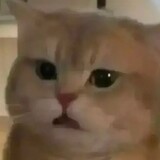 timodunmoguemmm