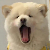 danchaofannizhanzhu