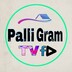 Palli Gram TV O