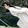 ningkexin_