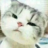 zaikanyihuierjiushui