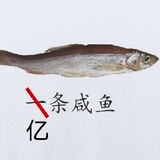 Yitiaoxianyufish