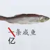 Yitiaoxianyufish
