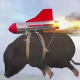 bengongbuchixiangcai