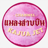 แมลงสาบบิน Kajua Jet