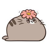 shaonianpi