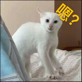 dangpuxiaoshuojia