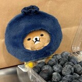 yangyuniyuebing