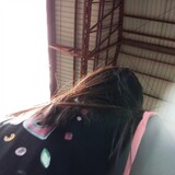 fyangfan
